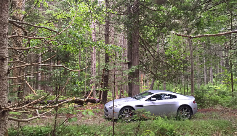 Illustration for article titled My Aston Martin Made It 1,600 Miles Into The Wilderness With Only One Little Issue